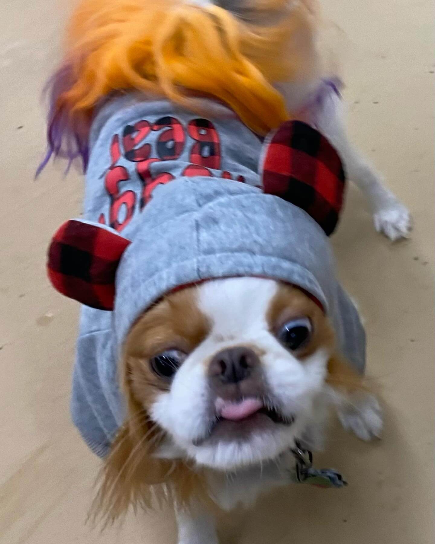 🎃👻