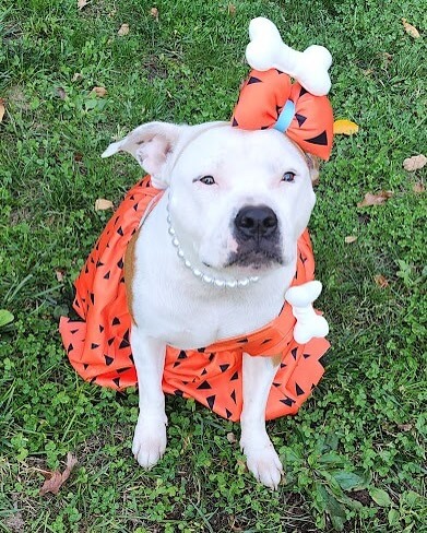 Hadleigh 👻🎃👻🎃🎃