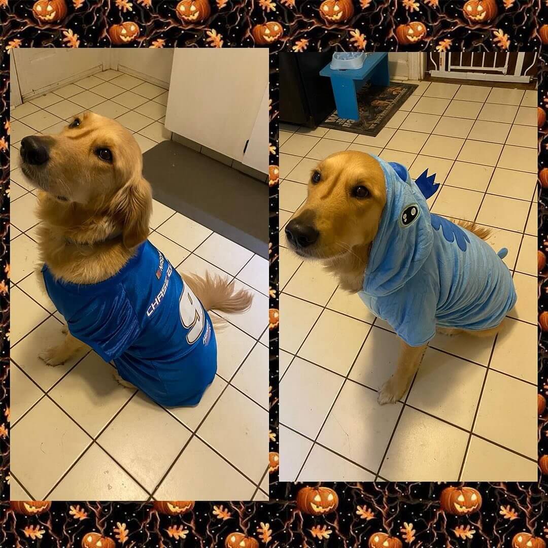 Buddy 🎃👻🏎️