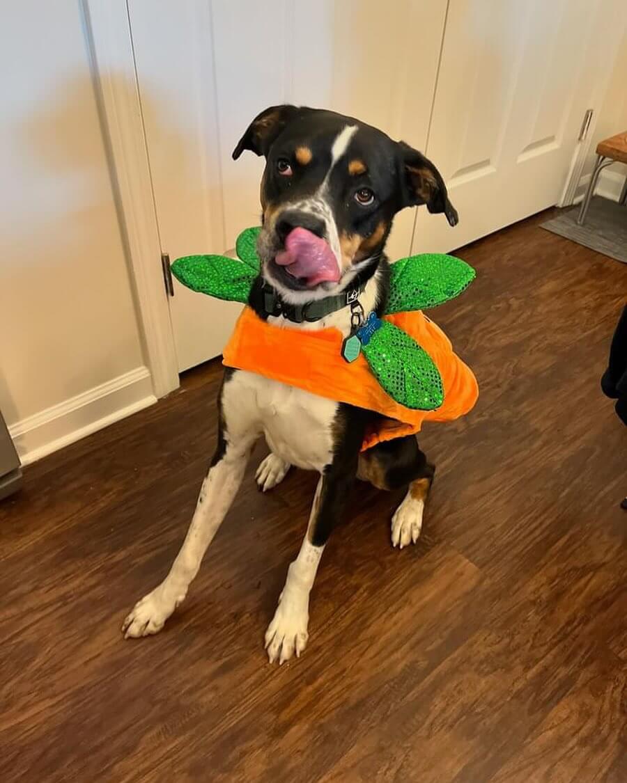 Cooper 🎃